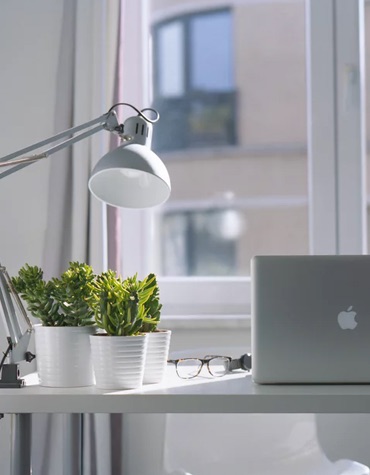 An image with a desk, some succulents with a window in the background