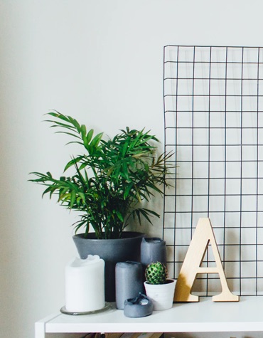 A desk with a plant, some candles, the letter A on it.