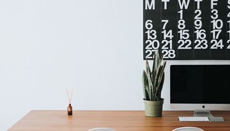 A work desk with a mac, a snake plant, a keyboard and some incense on it, with a calendar on the wall